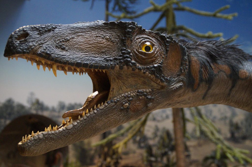 Irgendein komischer Dinosaurier guckt amüsiert, warum weiss niemand